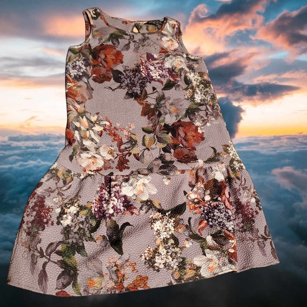 SINGLE LOS ANGELES Lined Floral Pleplum Dress XS